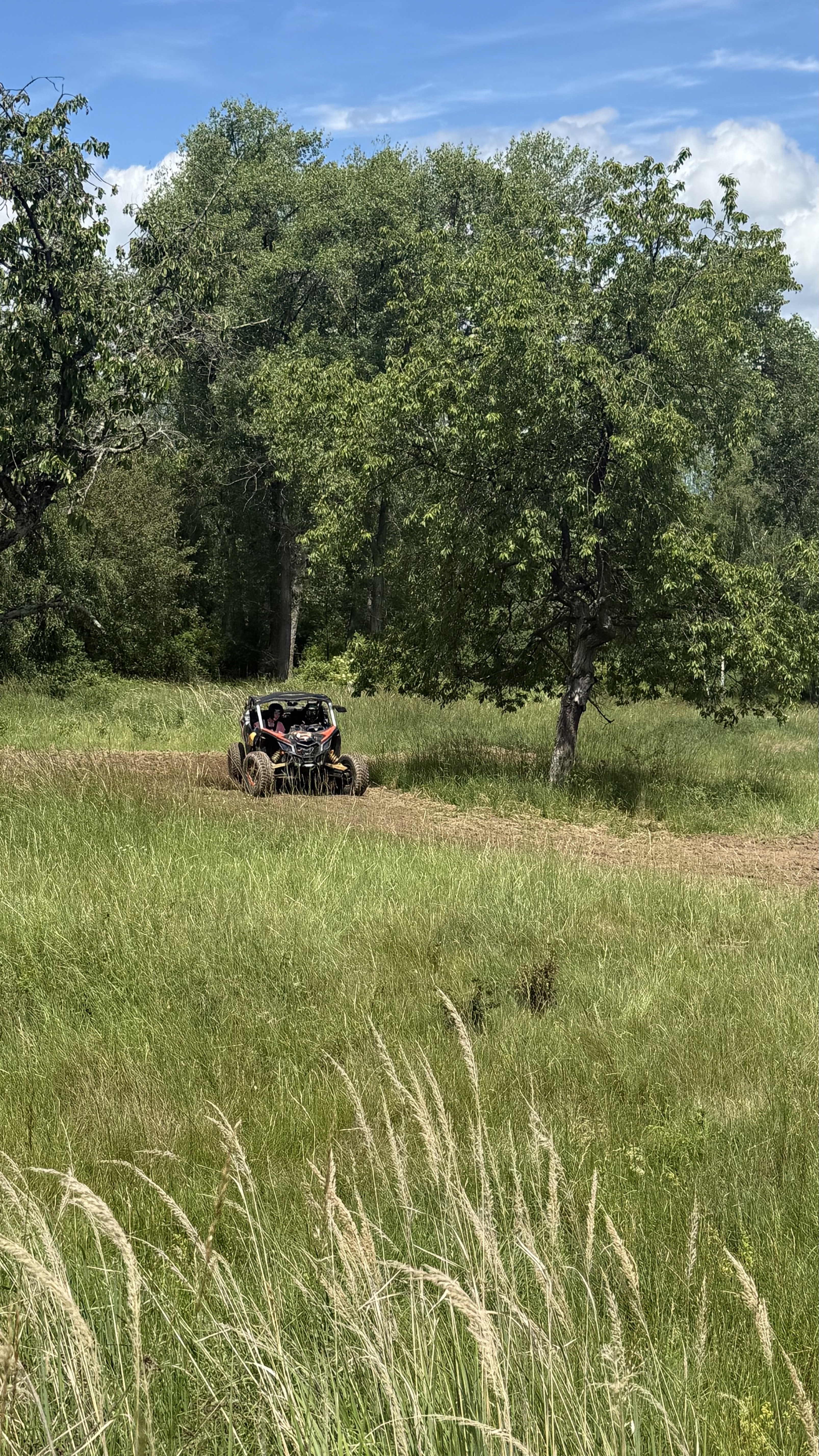 Offroad terén s buggy