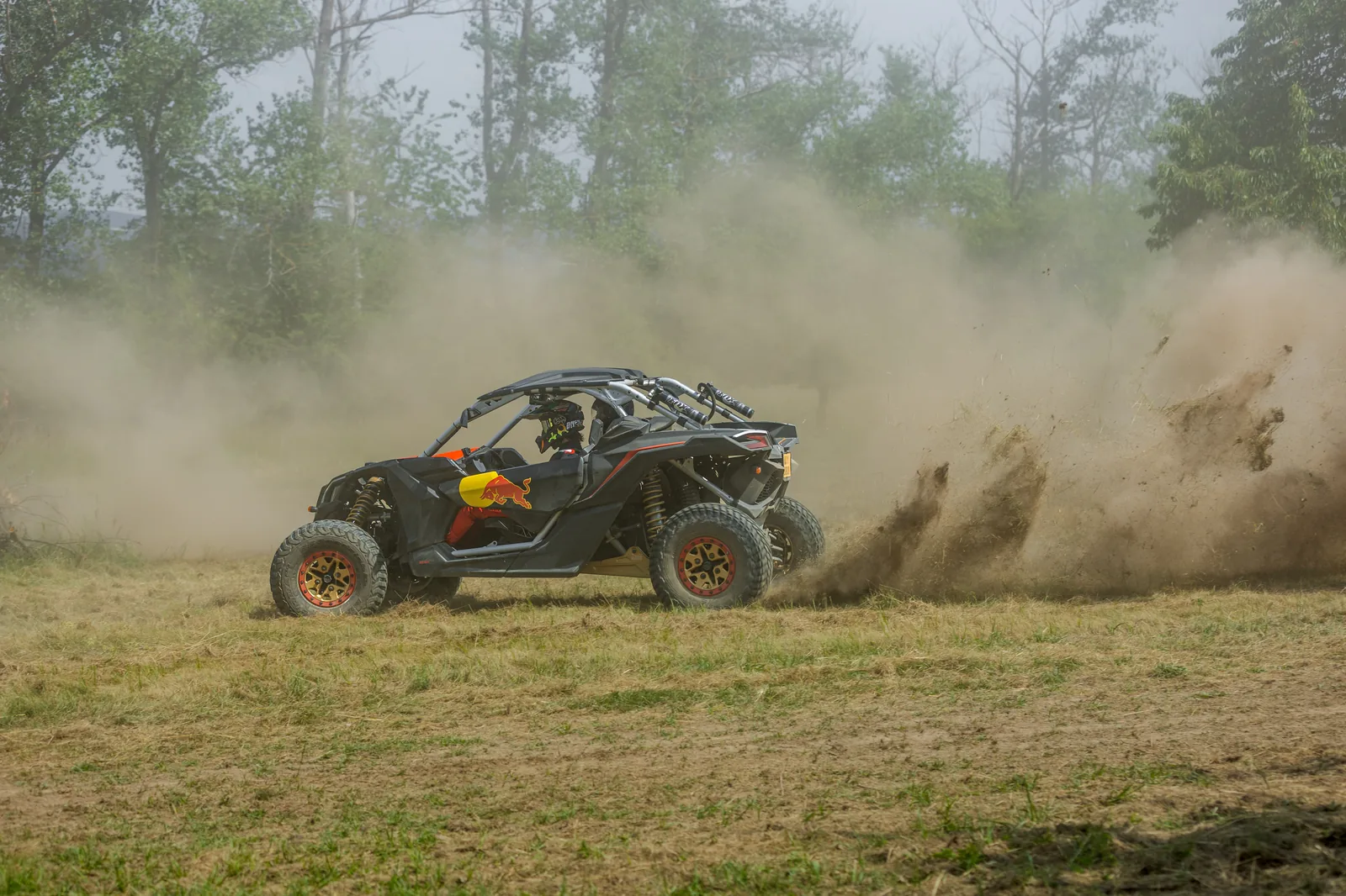 Buggy mizí v oblaku prachu mezi stromy